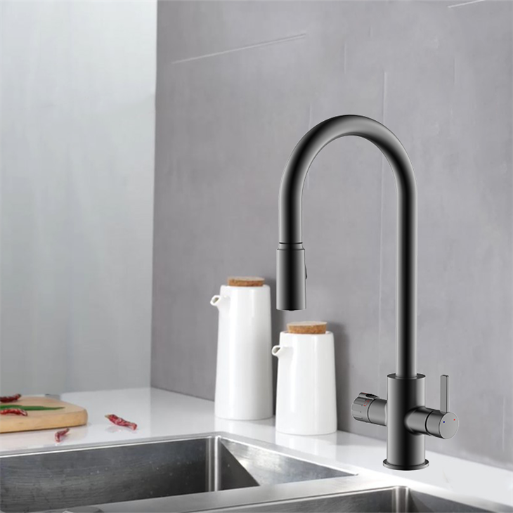 Boiling Water Tap Pull Out